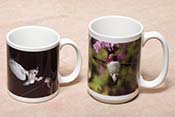 Coffee Mugs, Keepsake Boxes, Coasters, Playing Cards, Puzzles, mouse Pads, Magnets, Greeting Cards